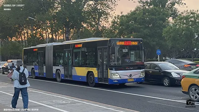 800BUS