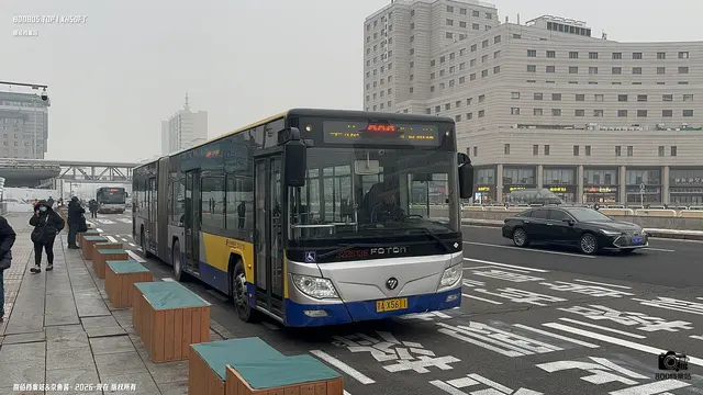 800BUS