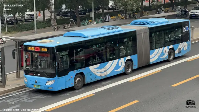 800BUS