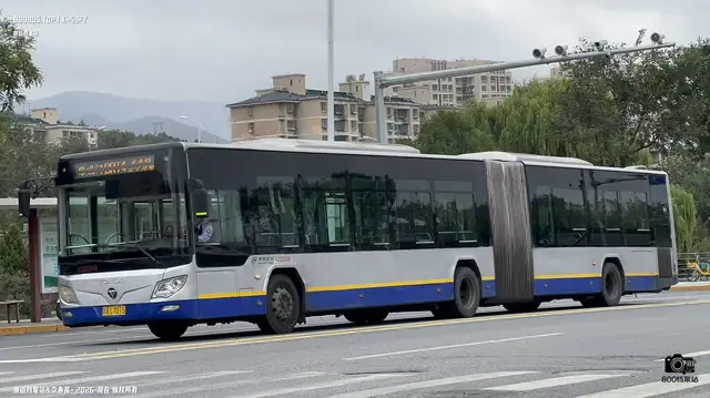 800BUS