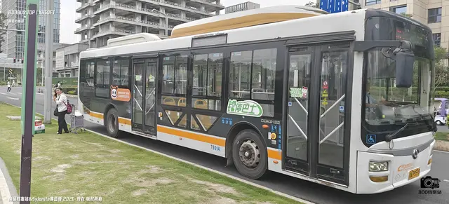 800BUS