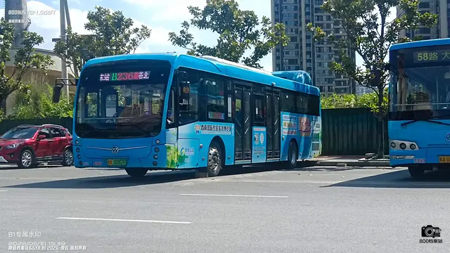 800BUS
