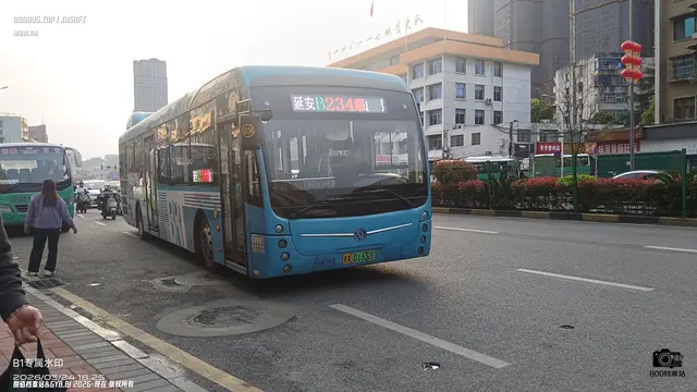 800BUS