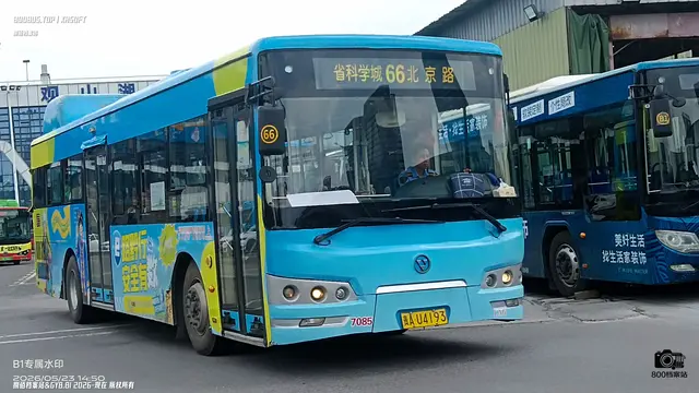 800BUS