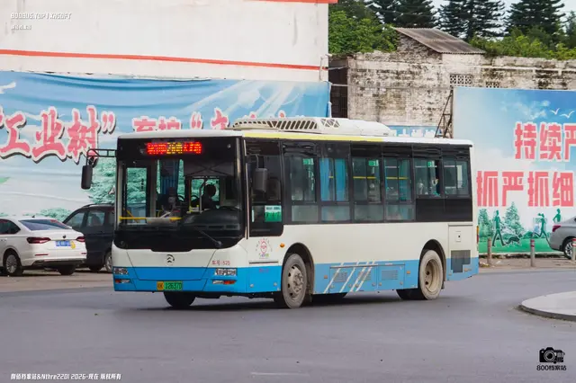 800BUS