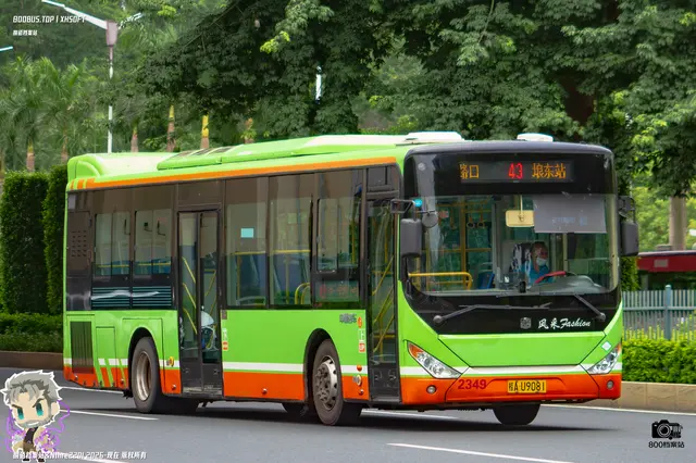 800BUS