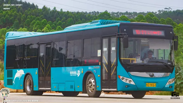 800BUS