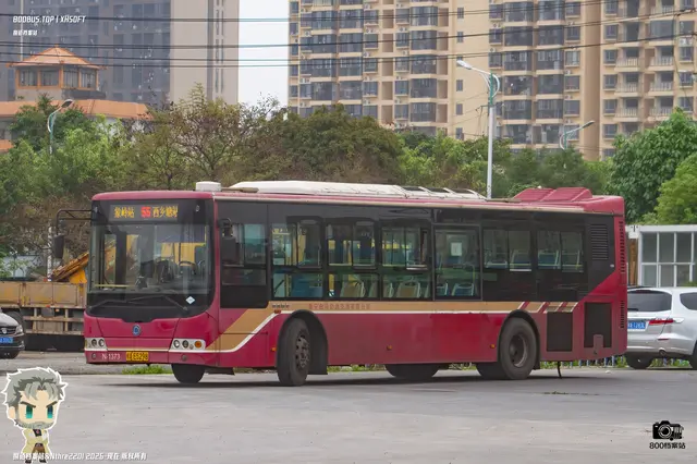 800BUS