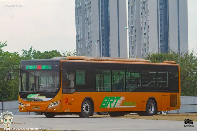 800BUS