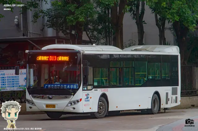 800BUS