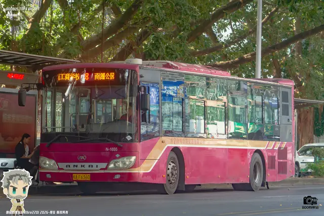 800BUS