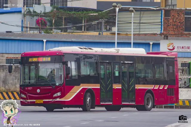 800BUS