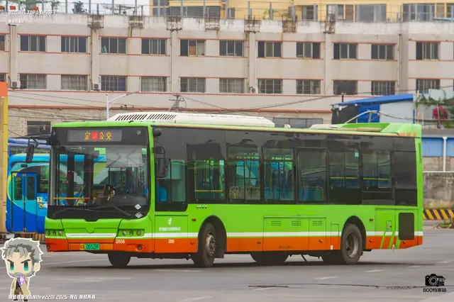 800BUS
