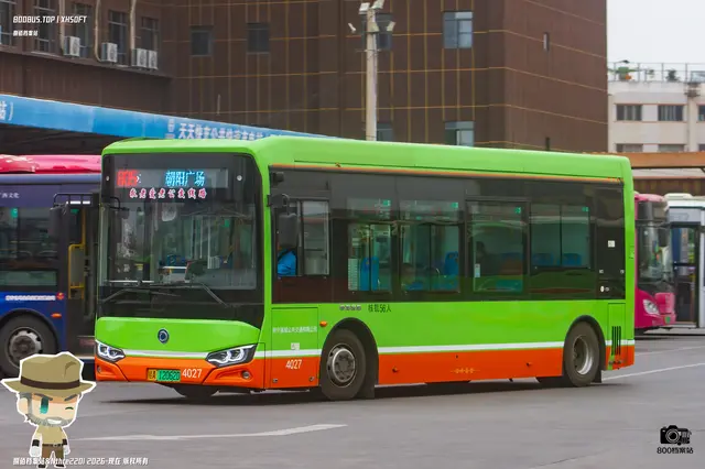 800BUS