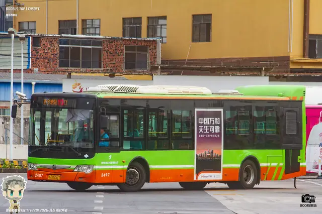 800BUS