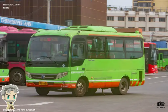800BUS