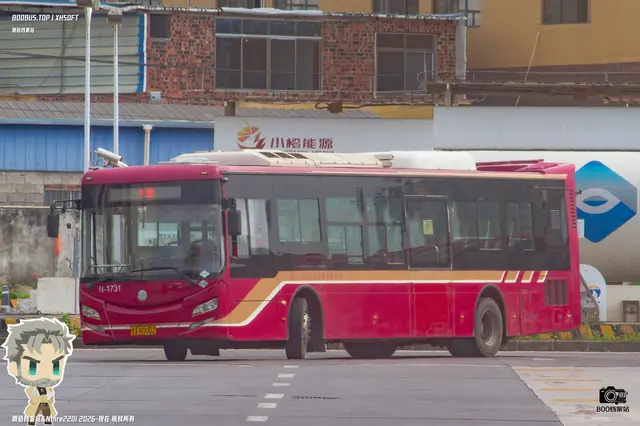 800BUS