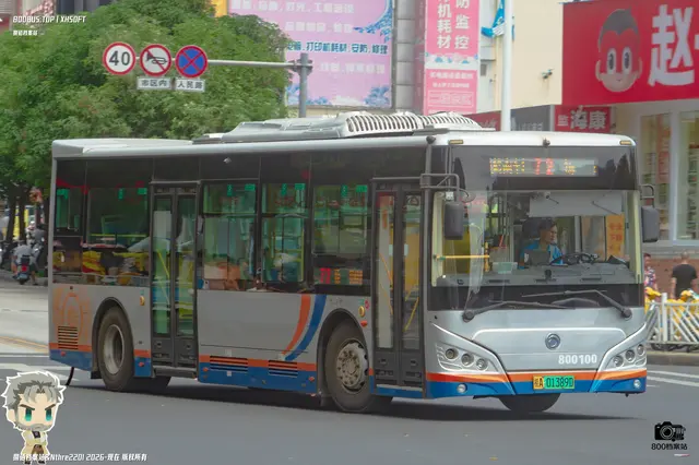 800BUS