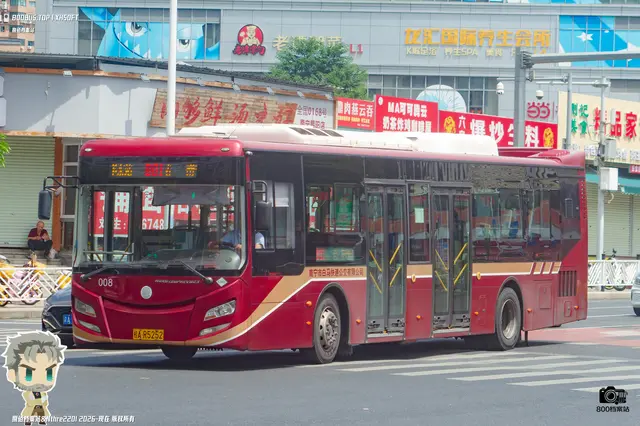 800BUS