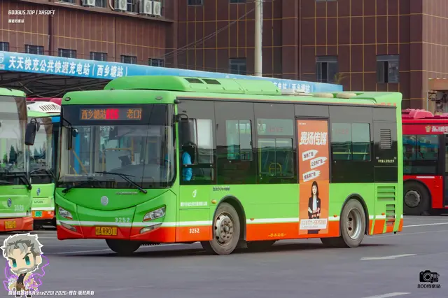 800BUS