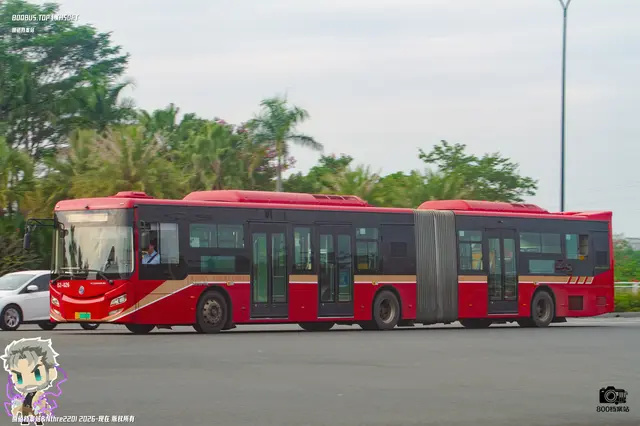 800BUS