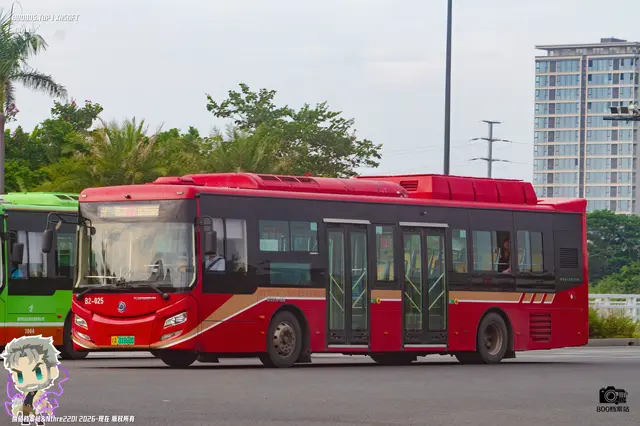 800BUS