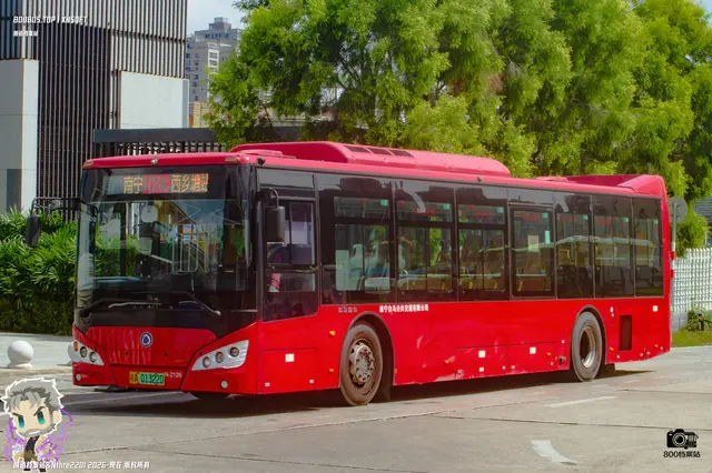 800BUS