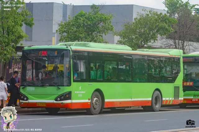 800BUS