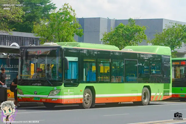 800BUS