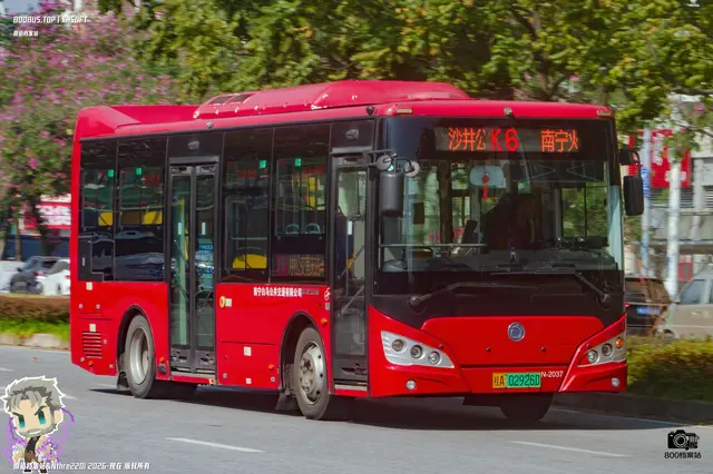 800BUS
