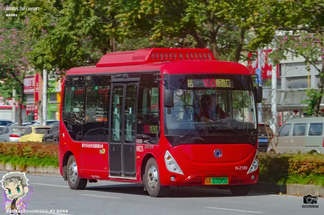 800BUS