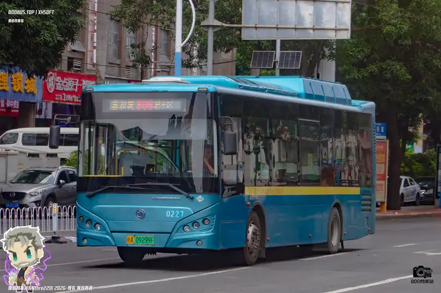 800BUS