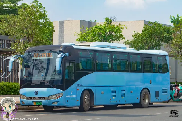 800BUS