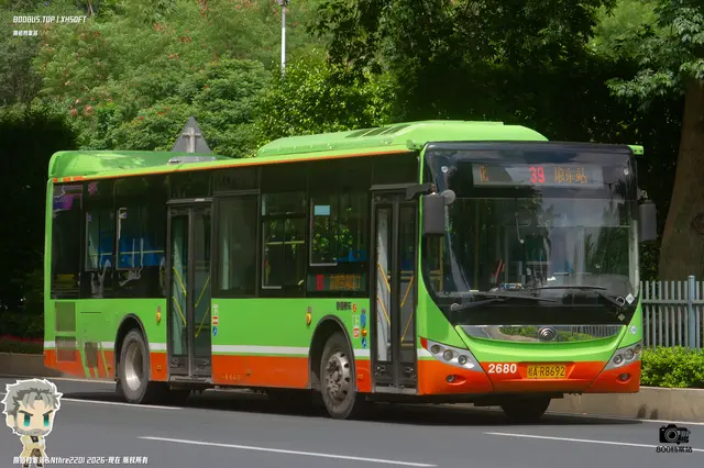 800BUS