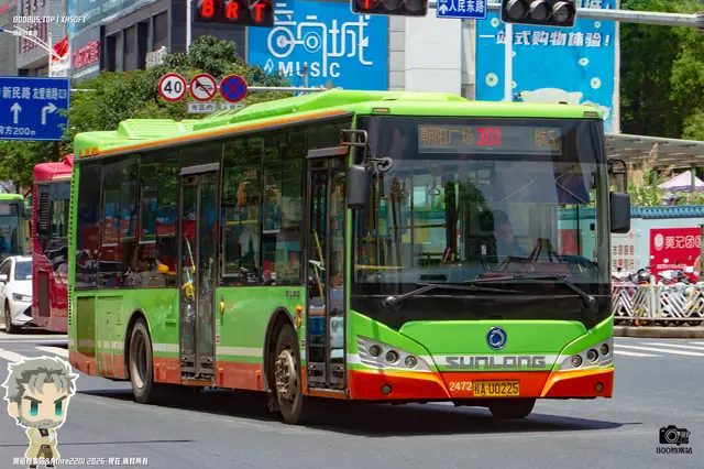 800BUS