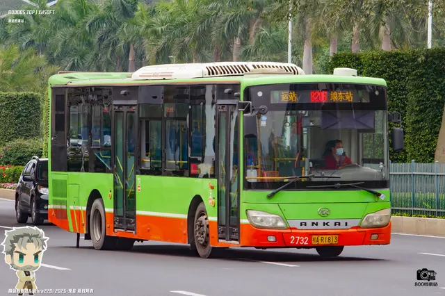 800BUS