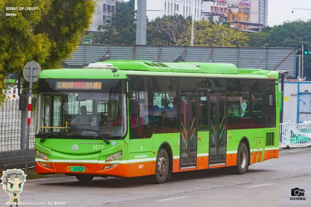800BUS