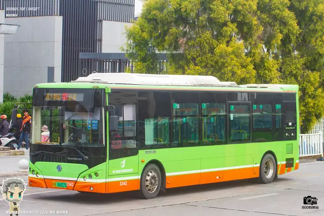 800BUS