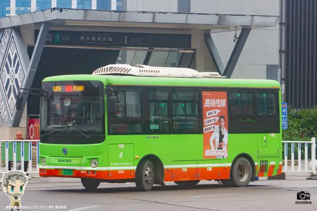 800BUS