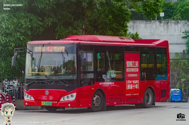 800BUS
