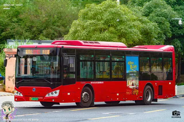 800BUS