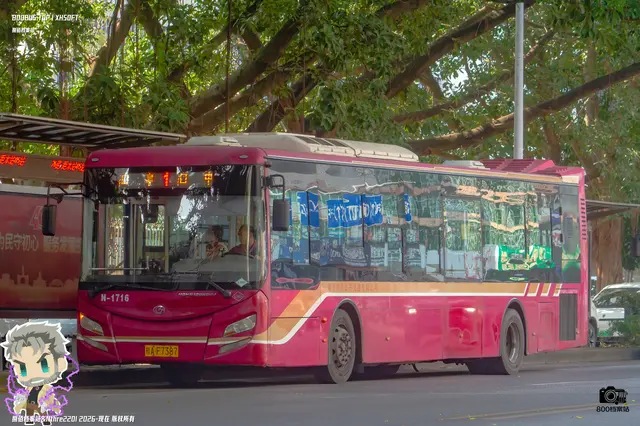 800BUS