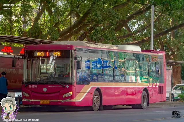 800BUS