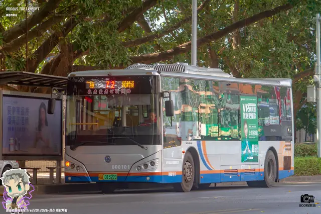 800BUS