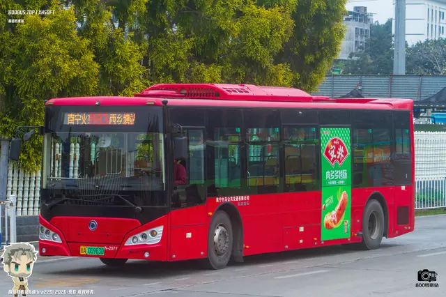 800BUS