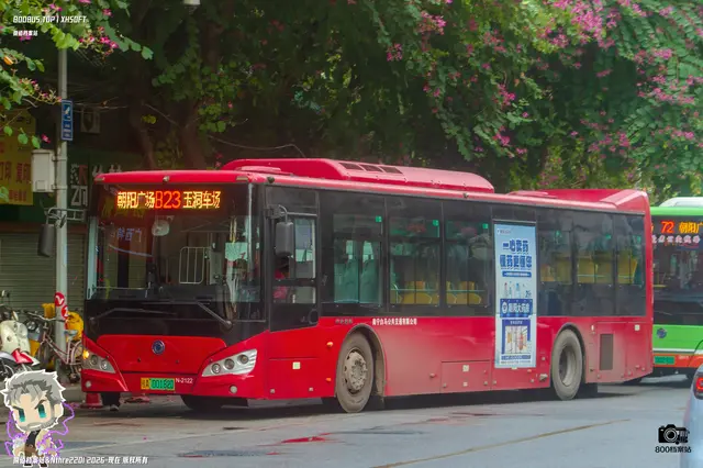 800BUS