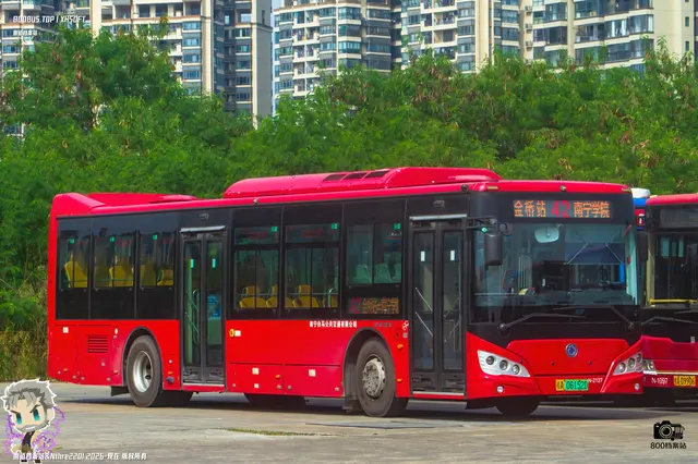 800BUS