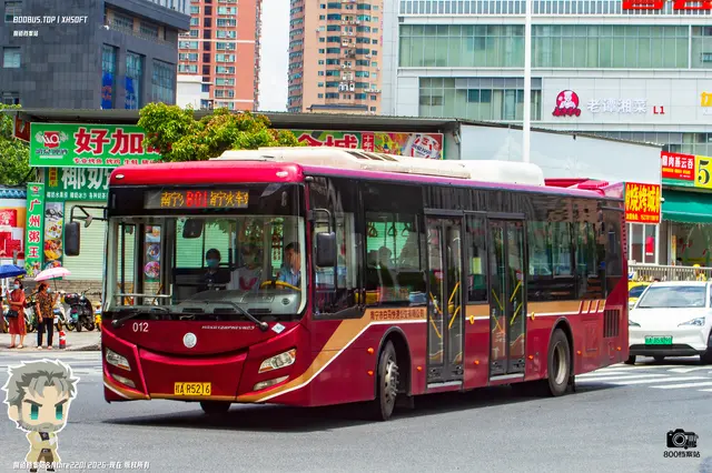 800BUS