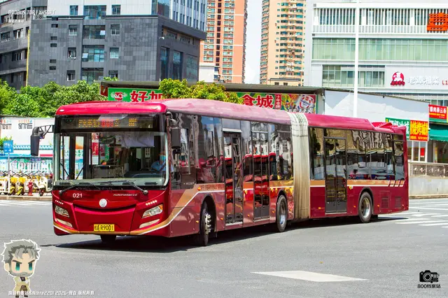800BUS