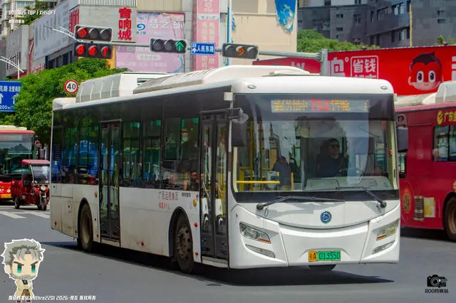 800BUS